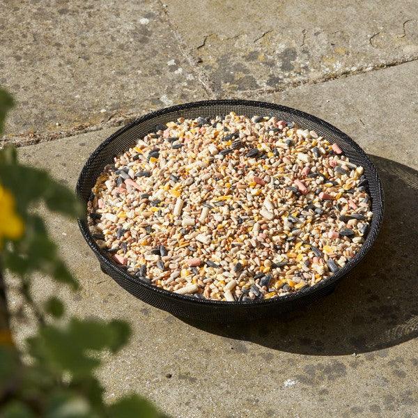 Harrisons Metal Ground Feeding Tray 22cm - Ormskirk Pets