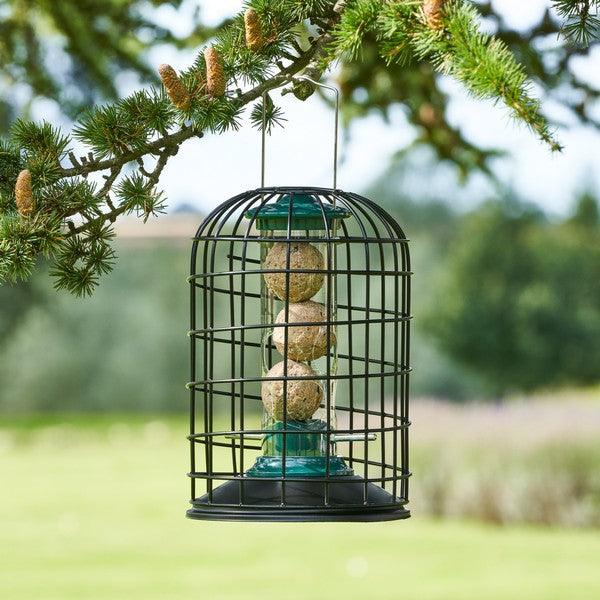 Harrisons Protector Fat Ball Feeder 20cm - Ormskirk Pets
