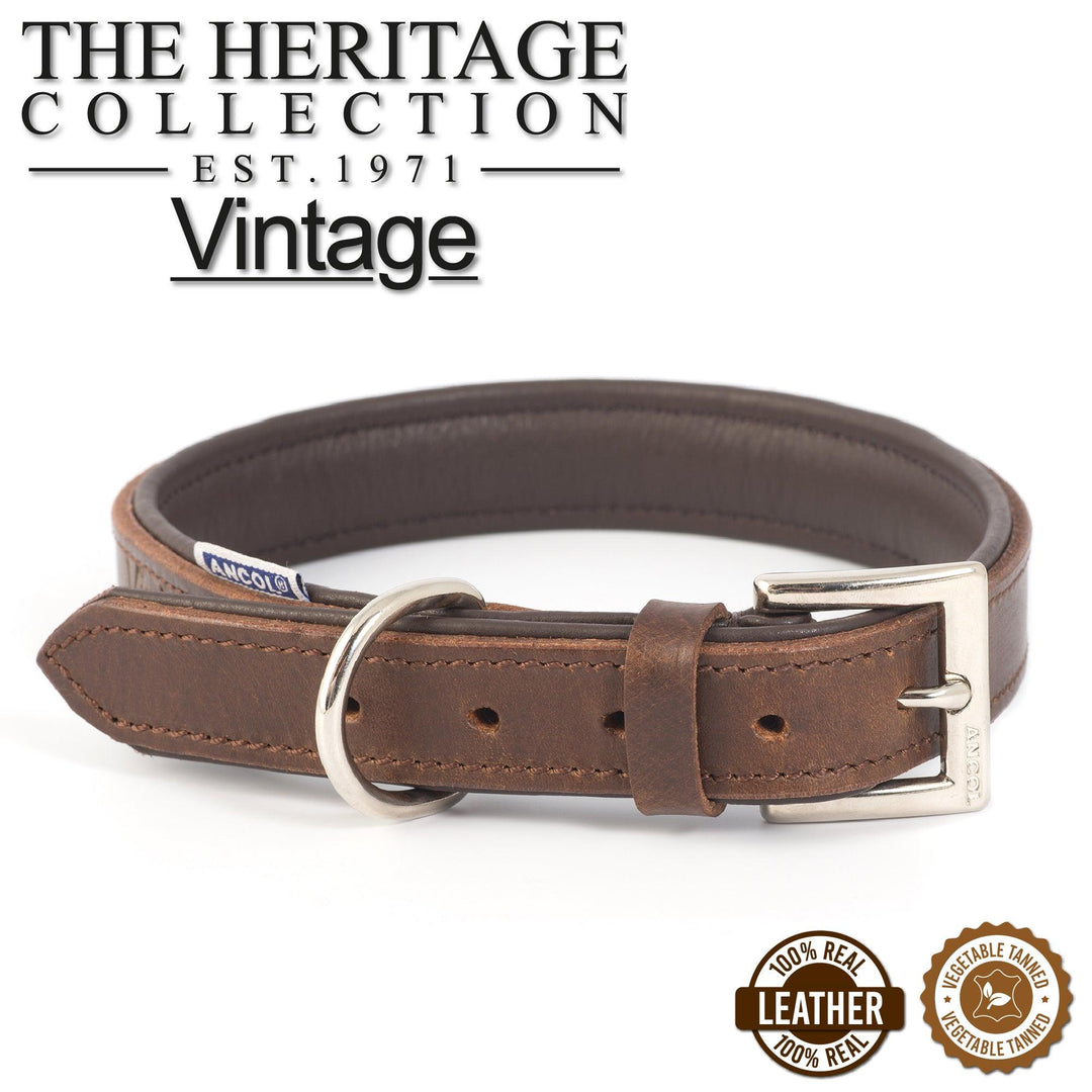 Ancol Vintage Leather Padded Collar 55-63cm Size 8
