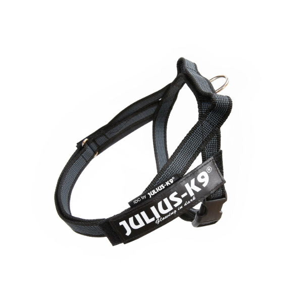 Julius-K9 IDC Belt Harness Black & Grey