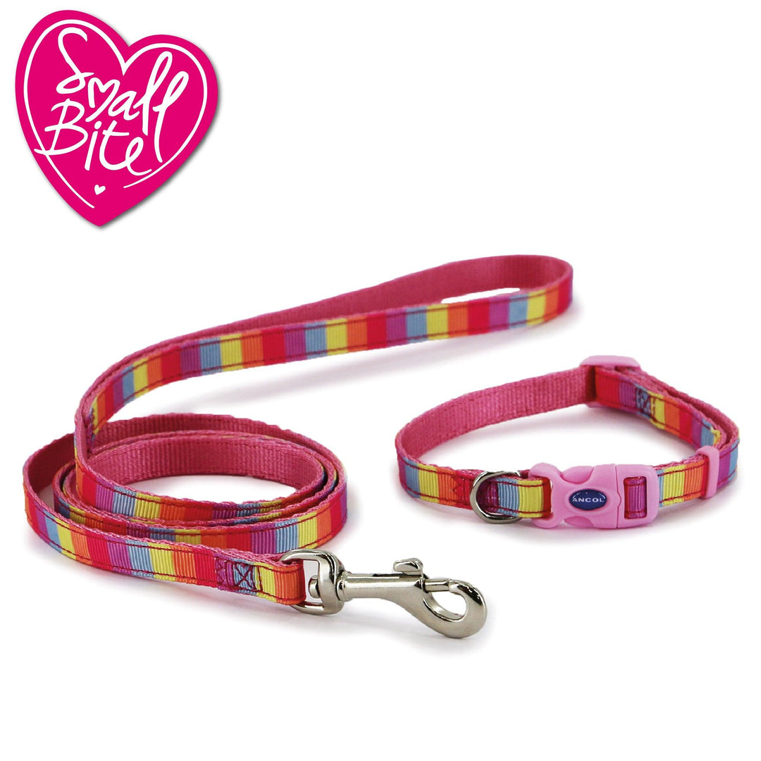 Ancol Small Bite Rainbow Collar Lead Set Pink