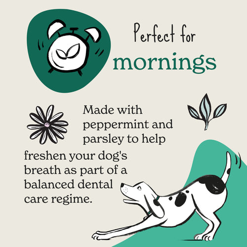 Forthglade Functional Natural Fresh Breath Soft Bite Treat 8x90g