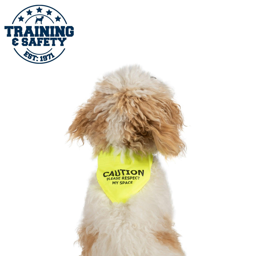 Ancol Warning Bandana Yellow S/M 20cm