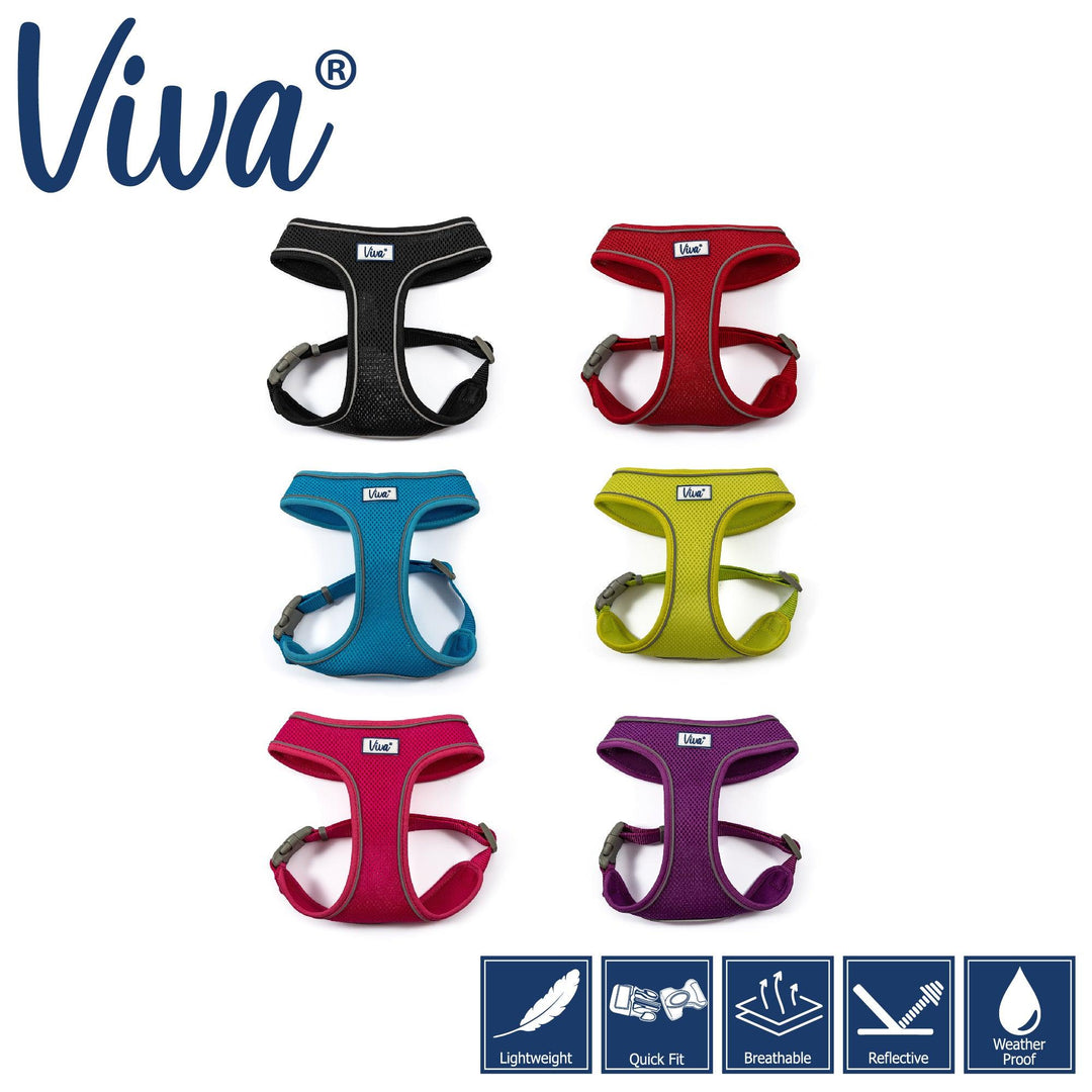 Ancol Viva Mesh Dog Harness Blue XS 28-40cm