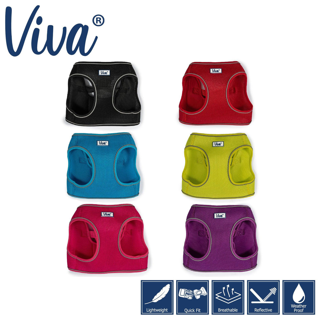 Ancol Viva Step-in Harness XL Black