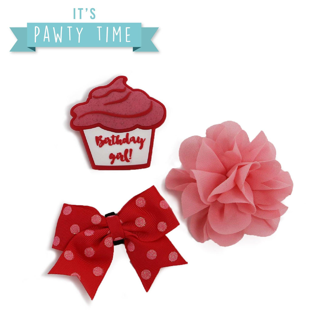 Ancol Its My Birthday Collar Accessories Pink
