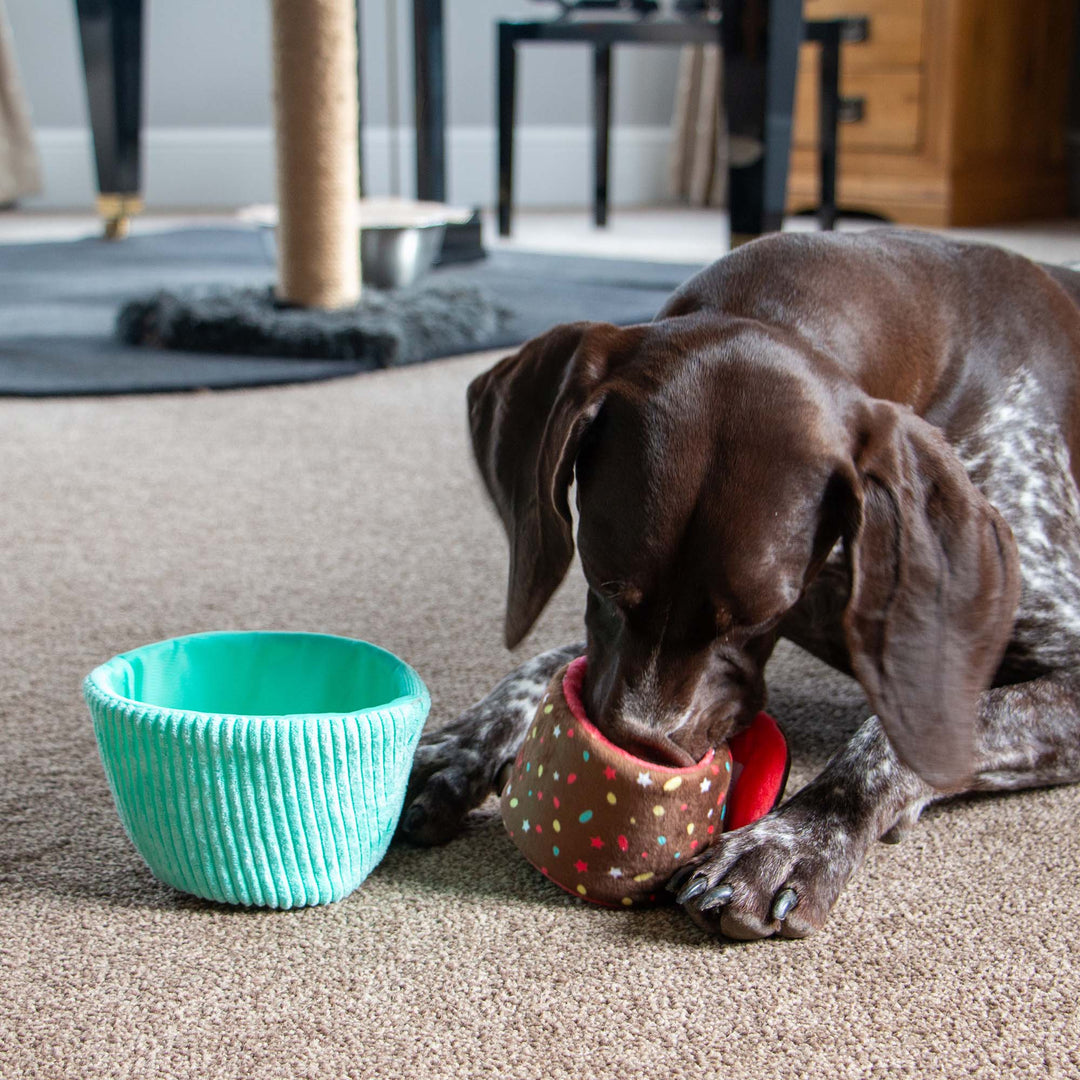 Ancol Pawty Snuffle Blue Cupcake