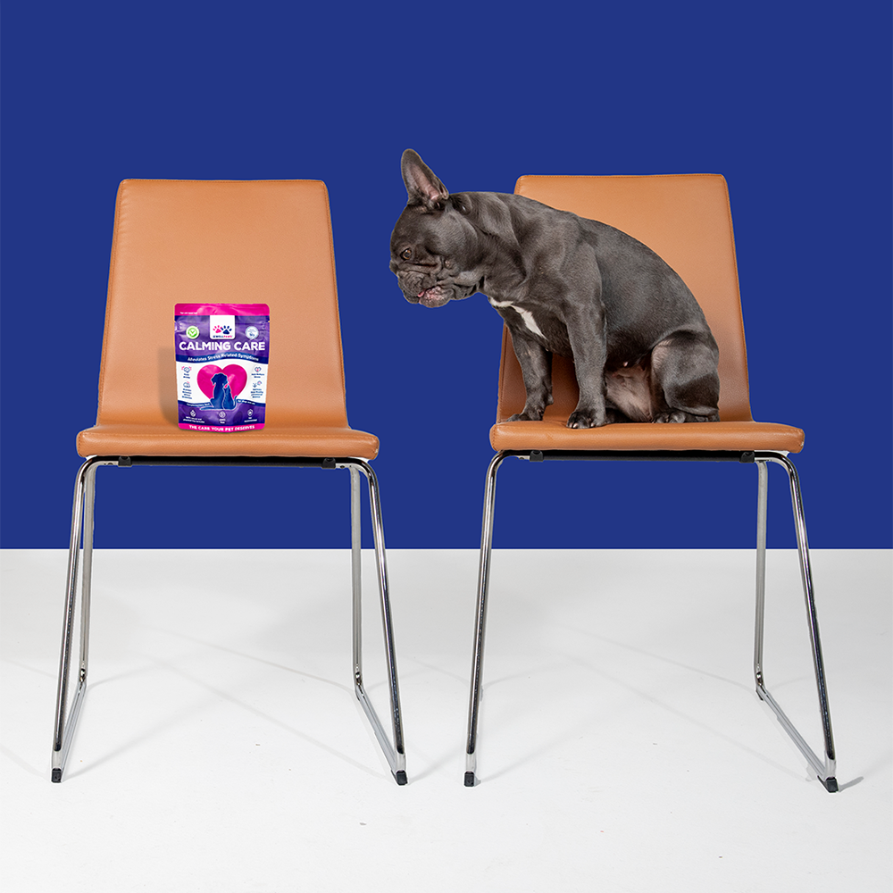 WellPaws Calming Care Chewable 180g