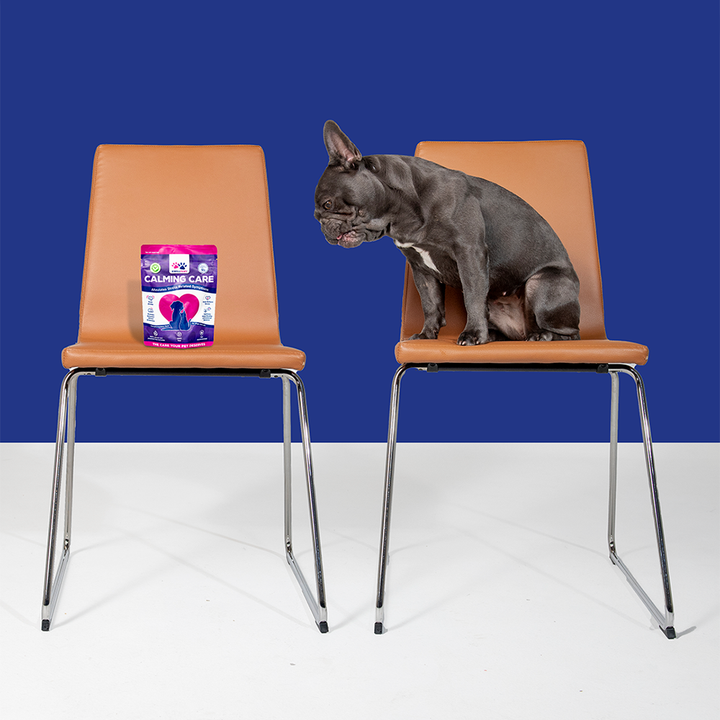 WellPaws Calming Care Chewable 180g