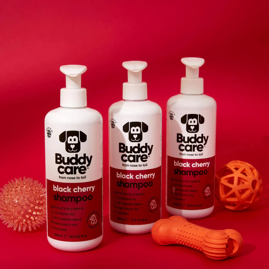 Buddycare Dog Shampoo Black Cherry