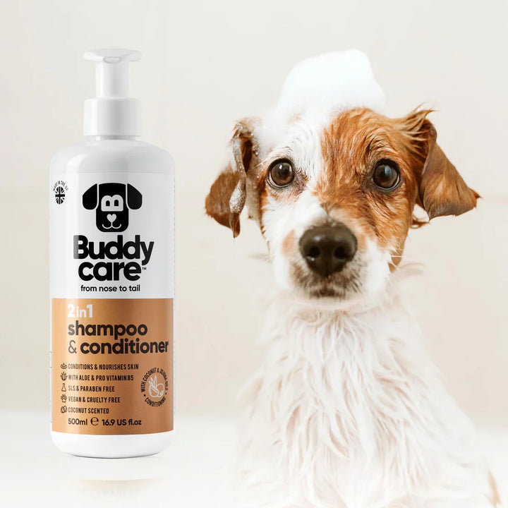 Buddycare Dog 2 in 1 Shampoo & Conditioner Coconut