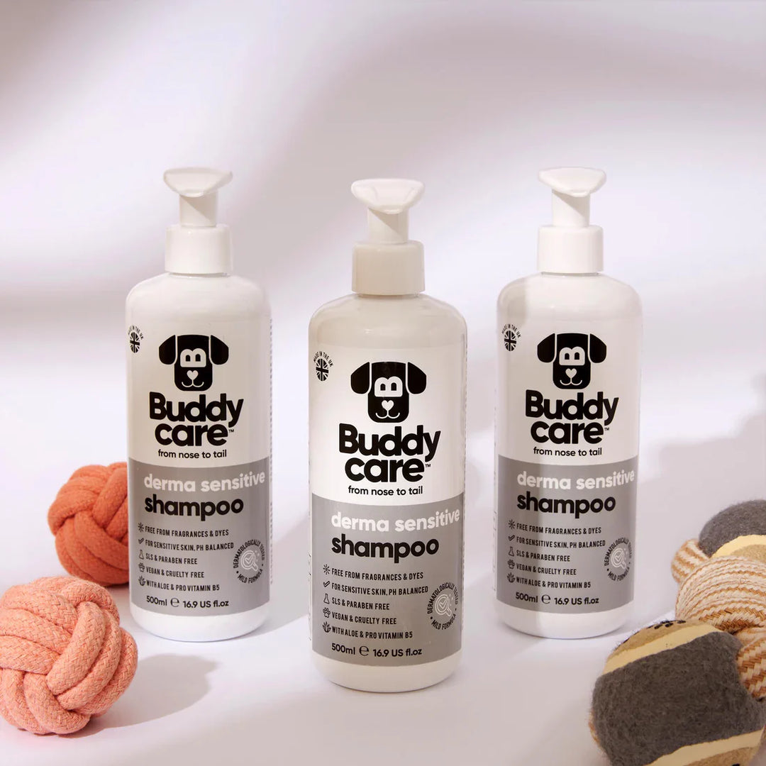 Buddycare Dog Derma Sensitive Shampoo