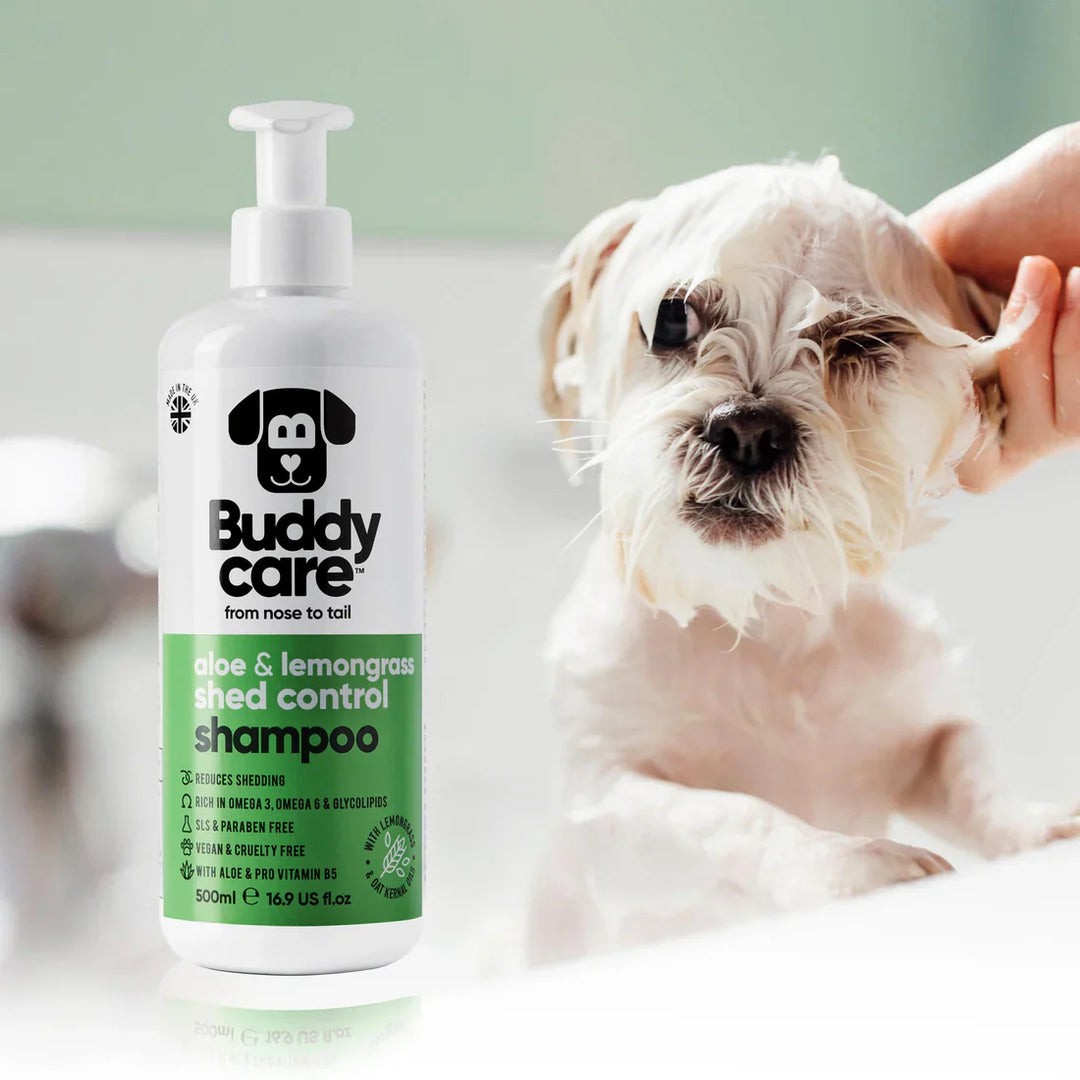 Buddycare Dog Shed Control Shampoo Aloe Vera
