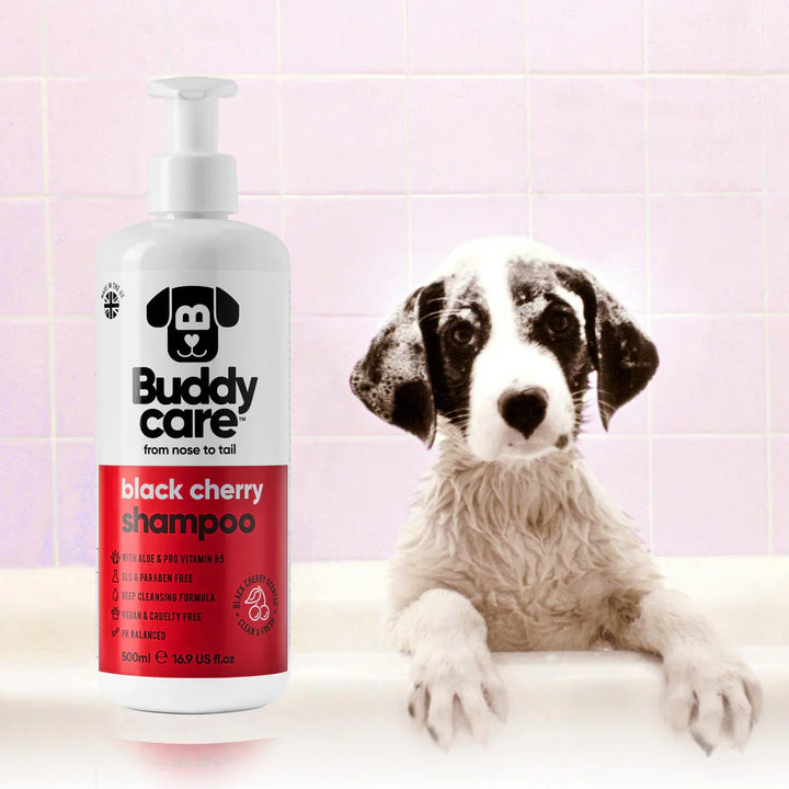 Buddycare Dog Shampoo Black Cherry