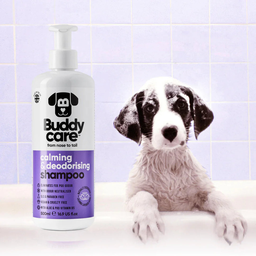 Buddycare Dog Calming & Deodorising Shampoo Lavender