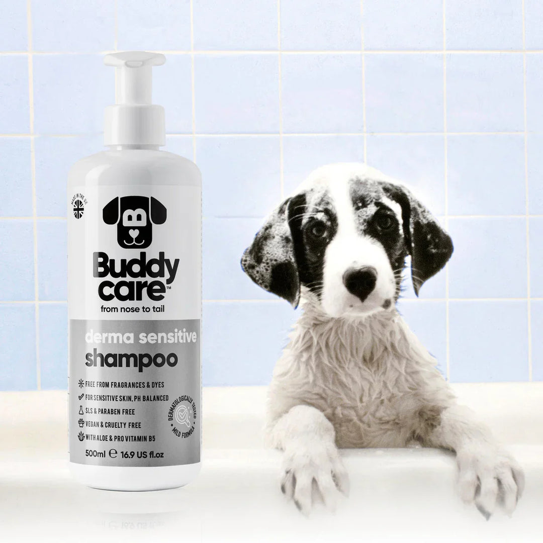 Buddycare Dog Derma Sensitive Shampoo