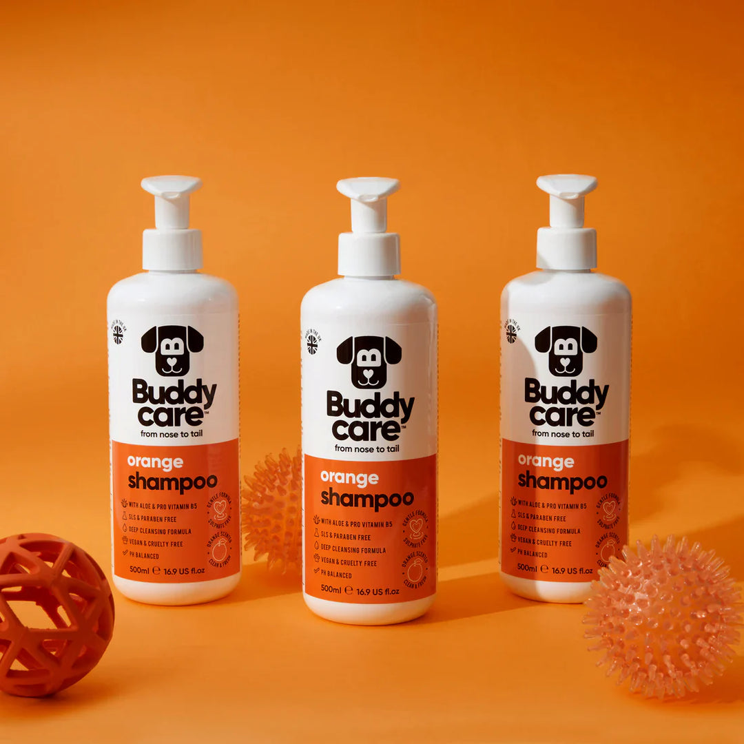 Buddycare Orange Dog Shampoo 500ml