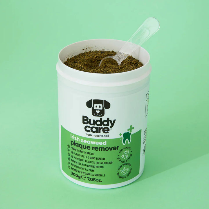 Buddycare Irish Seaweed Plaque Remover