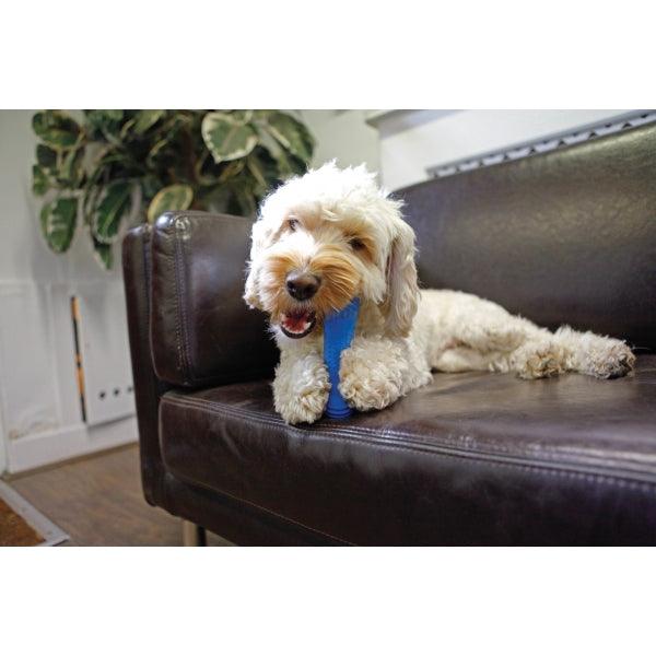 Rosewood Chillax Cool Bone 7"