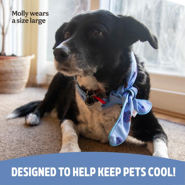 Rosewood Cooling Neckerchief