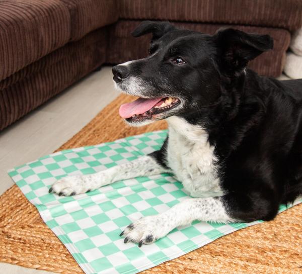 Rosewood Green Checkered Cool Mat Medium, 65 X 50Cm