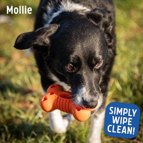 Rosewood Fitdog Bone Throw Toy