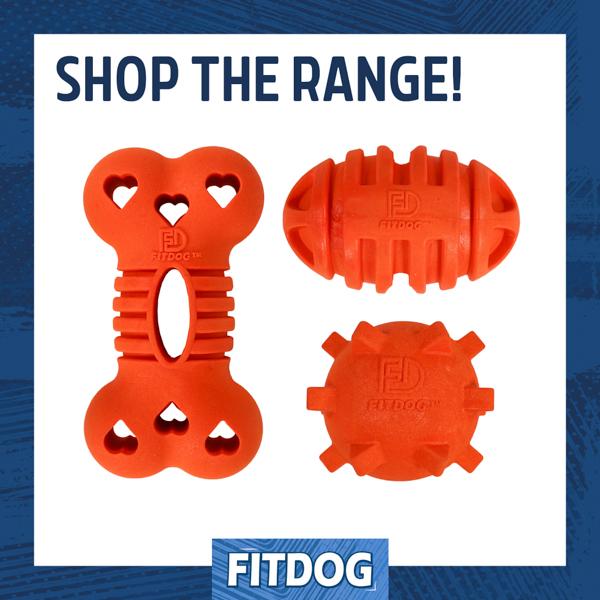 Rosewood Fitdog Bone Throw Toy