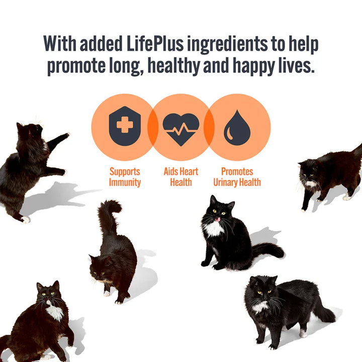 Hi Life Cat Chicken Breast in Sauce Can 12x70g