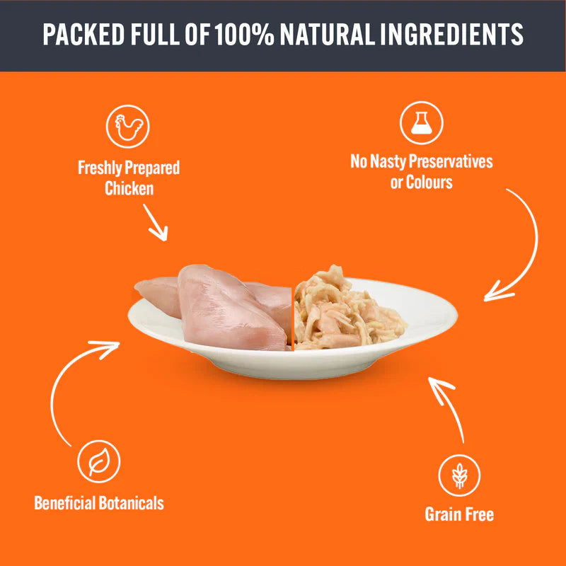 Hi Life Cat Chicken Recipes in Sauce Can 12x70g