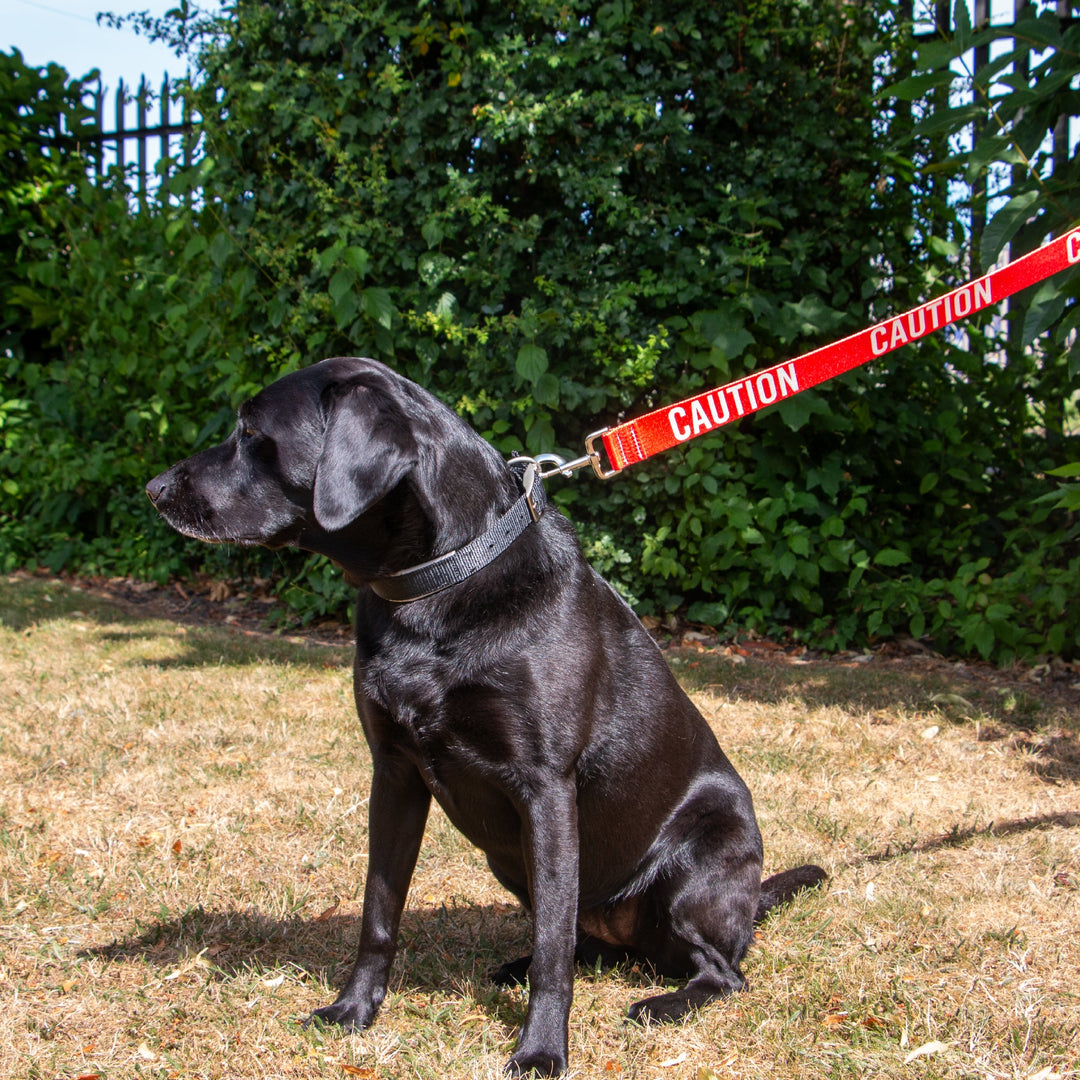 Ancol 40mm Awareness Lead CAUTION