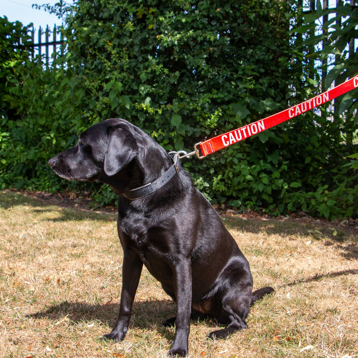 Ancol 40mm Awareness Lead CAUTION