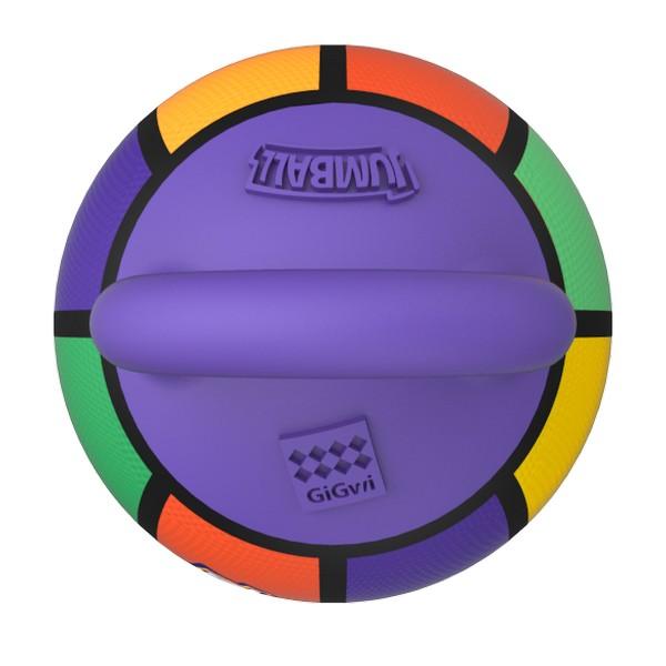 GiGwi Jumball Basketball Ball with Rubber Handle Multi