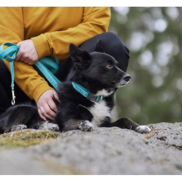 Hurtta Casual Collar ECO Peacock - Ormskirk Pets