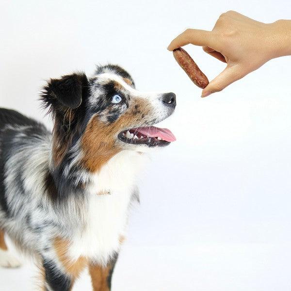 Pet Treats Wholesale Gourmet Duck & Orange Sausage 250g