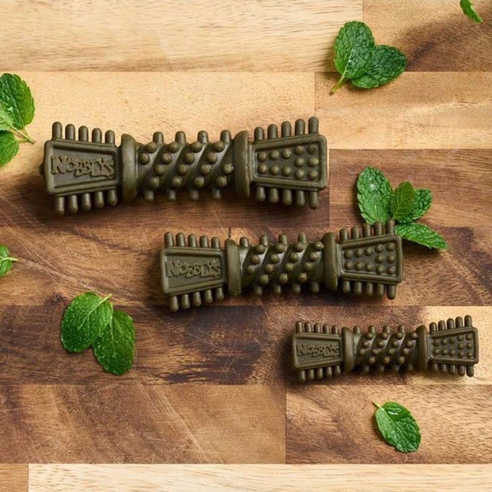 Petello Nobblys Tough Brush Mint 50g - Ormskirk Pets