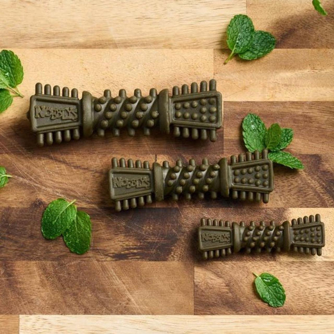 Petello Nobblys Tough Brush Mint 50g - Ormskirk Pets