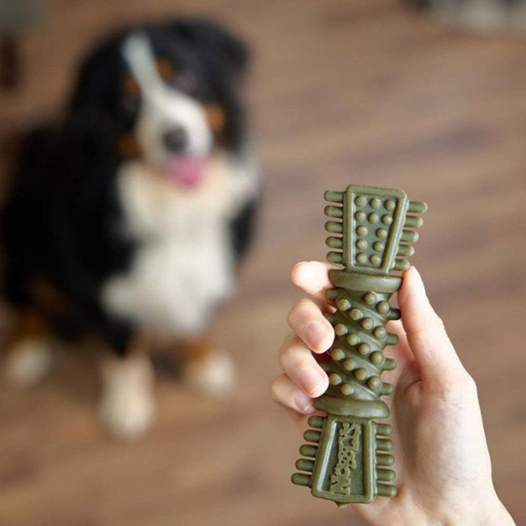 Petello Nobblys Tough Brush Mint 50g - Ormskirk Pets