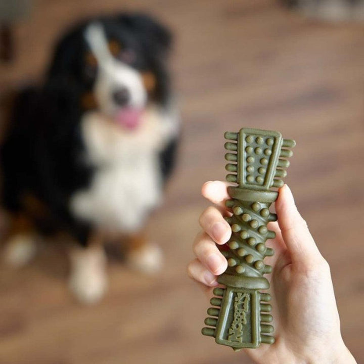 Petello Nobblys Tough Brush Mint 50g - Ormskirk Pets