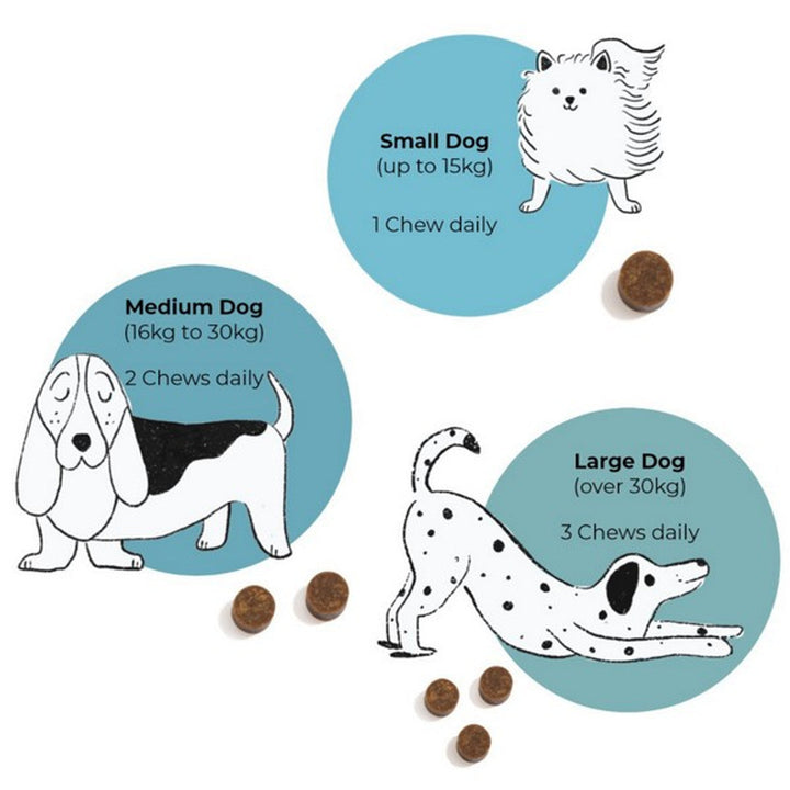 Blue Pet GoShine Skin & Coat Supplement Peanut Butter
