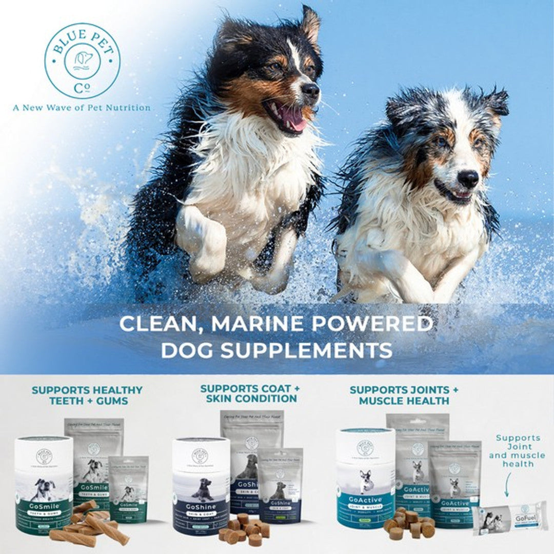 Blue Pet GoShine Skin & Coat Supplement Peanut Butter