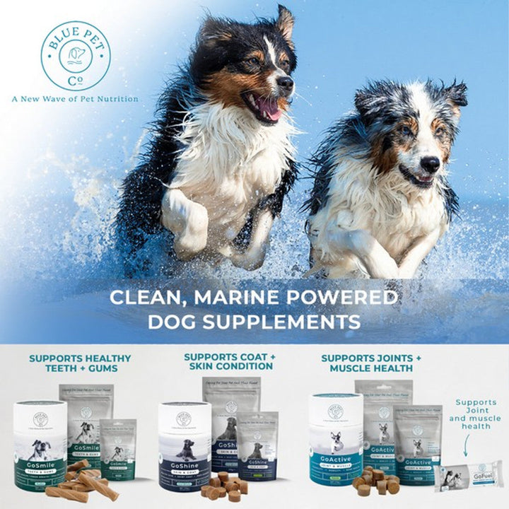 Blue Pet GoShine Skin & Coat Supplement Peanut Butter