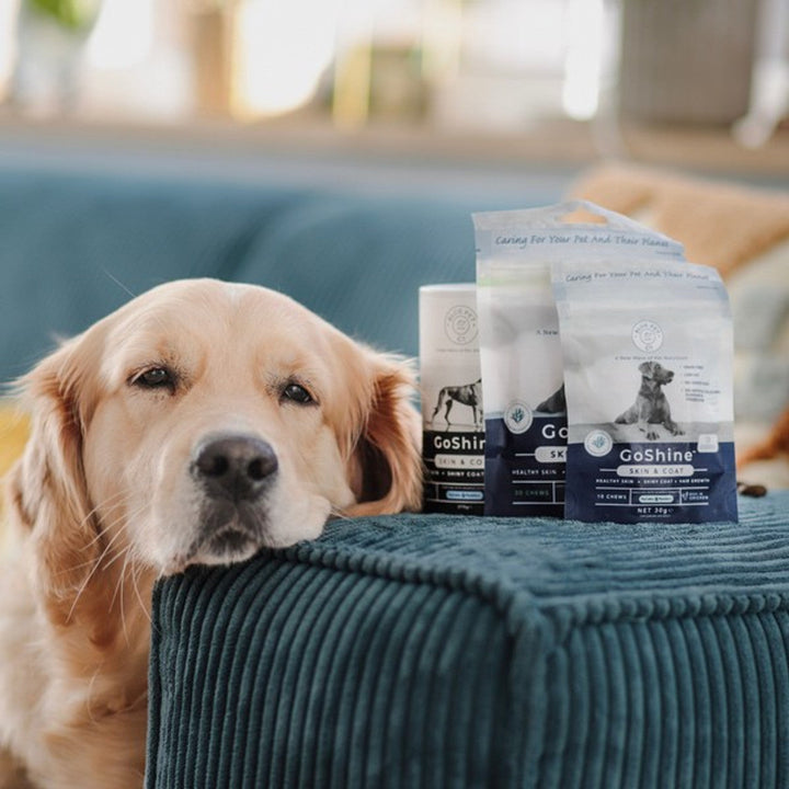 Blue Pet GoShine Skin & Coat Supplement Peanut Butter