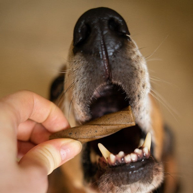 Blue Pet GoSmile Teeth & Gum Supplement Peanut Butter