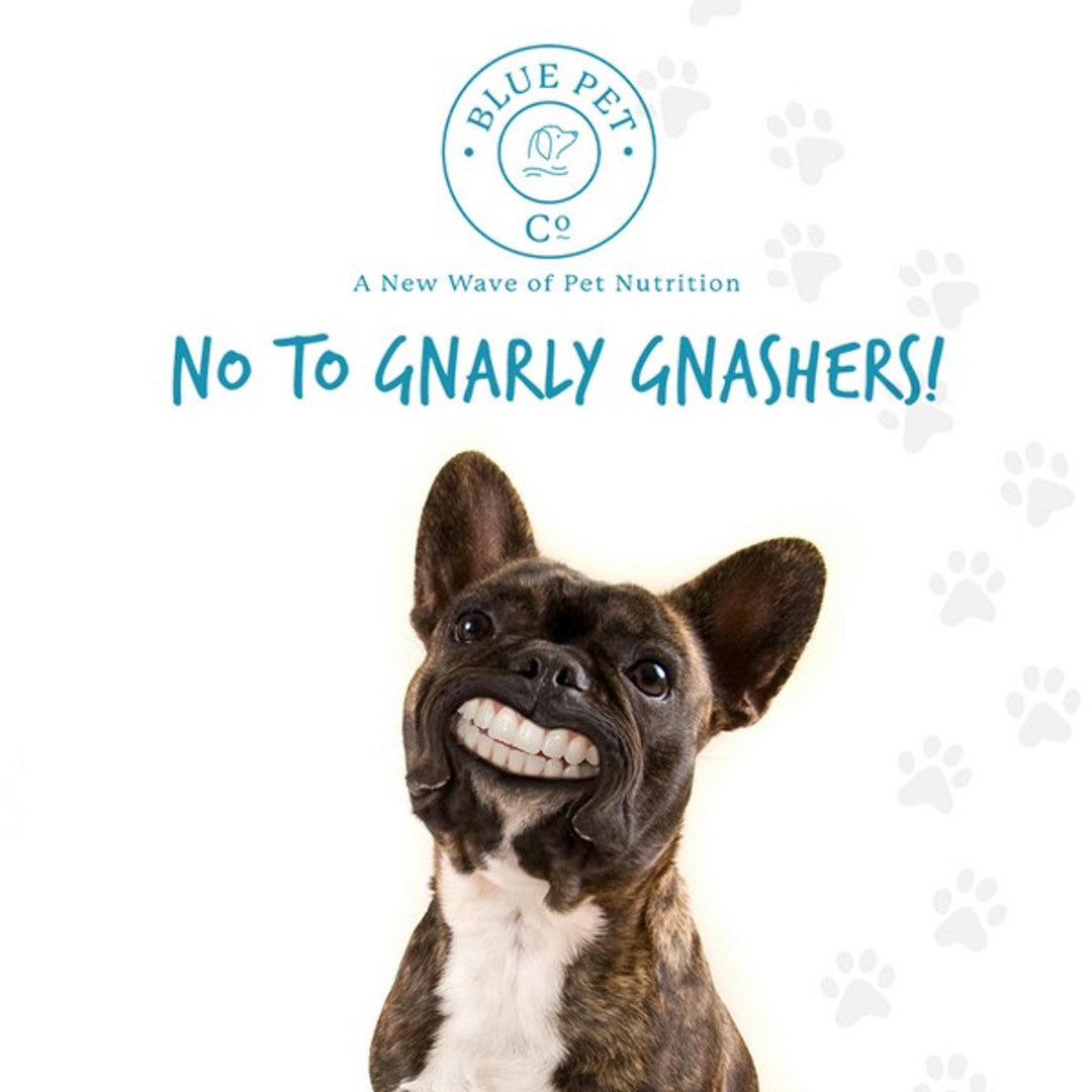 Blue Pet GoSmile Teeth & Gum Supplement Peanut Butter