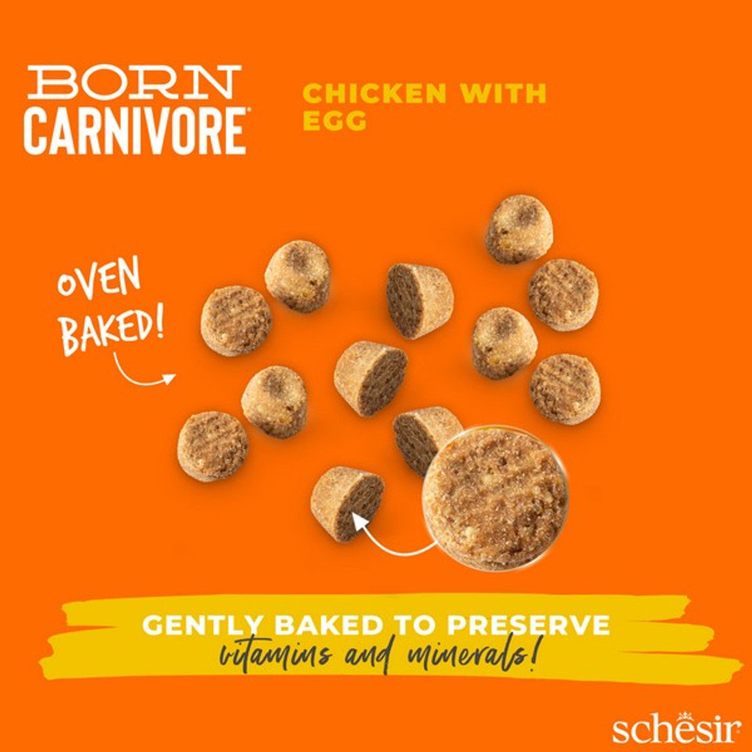 Schesir Dry Born Carnivore Chicken & Egg Adult 255G x 8