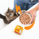 Edgard & Cooper Cat Pate Chicken 85g X 16
