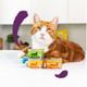 Edgard &amp; Cooper Cat Chunks Turkey &amp; Chicken 85g X 18