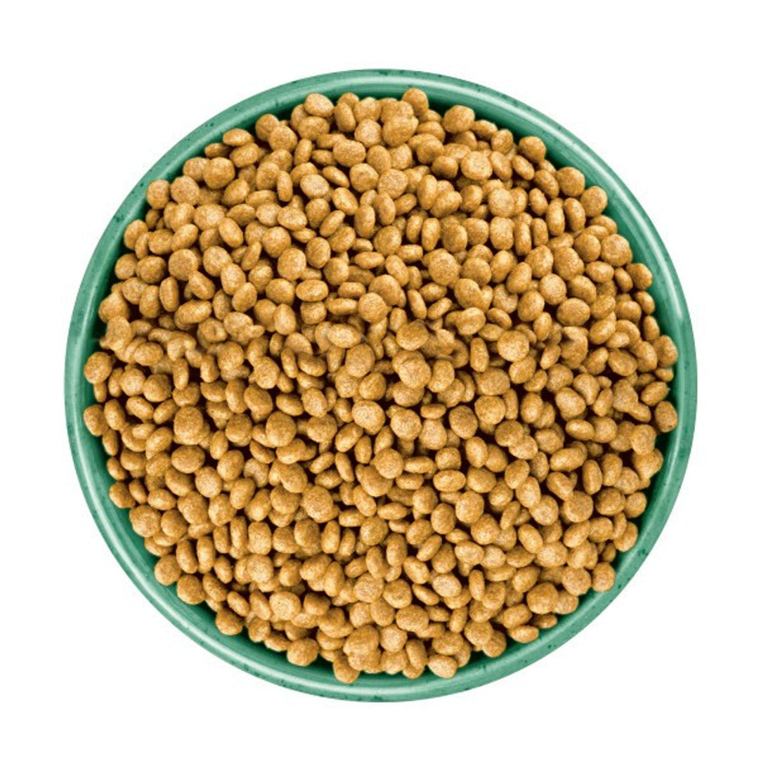 James Wellbeloved Grain Free Cat Adult Turkey