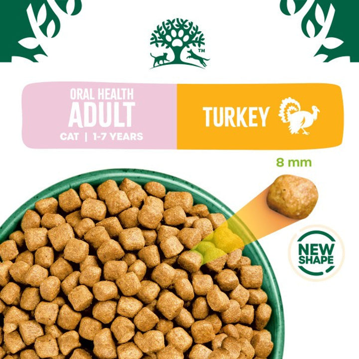James Wellbeloved Oral Health Cat Adult Turkey