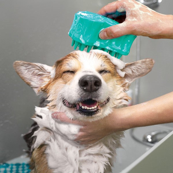 KONG ZoomGroom Bubbles Large